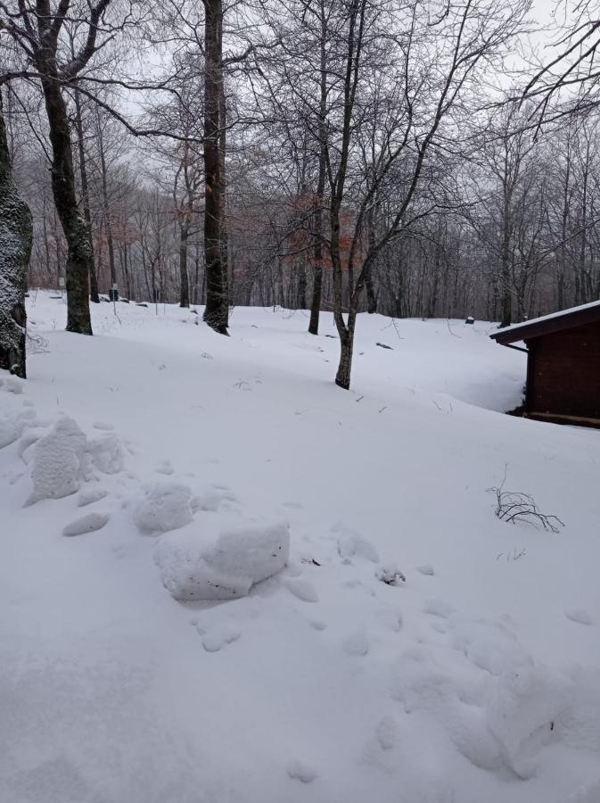 Villaggio Anemone - Chalet Anemone Capanne di Sillano Екстериор снимка